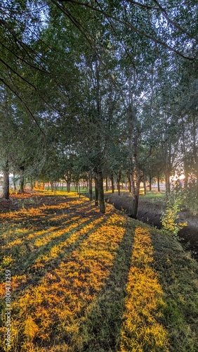 dias de amanecer