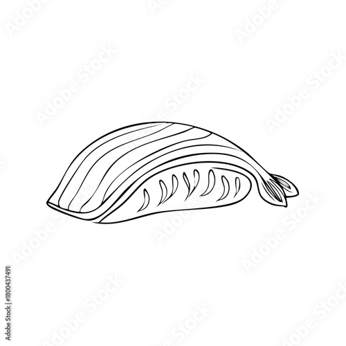 Illustration of a sushi nigiri with fish and seaweed isolated