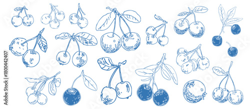 Hand drawn cranberry doodle icons featuring berries and leaves for seasonal food and botanical design use