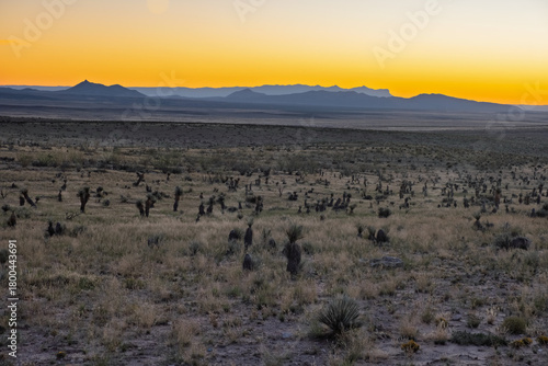 West Texas Desert Sunrise