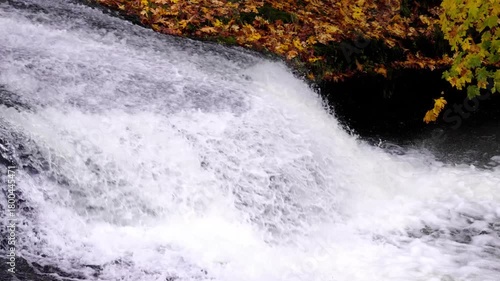 Slow motion of Salmon attempting to jump up waterfalls along Lake Creek in Oregon during fall migration