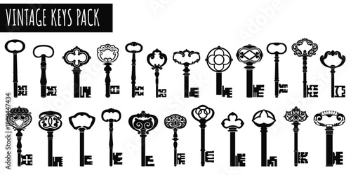 Vintage Keys Collection: A curated collection of antique keys. Each key, meticulously crafted and showcasing distinct ornate designs, is a portal to the past, evoking a sense of history.