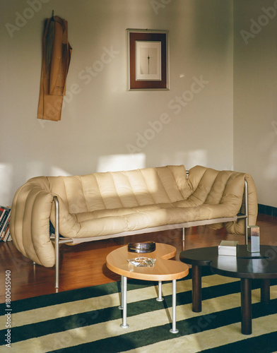 modern apartment living room interior with striped carpet retro style
