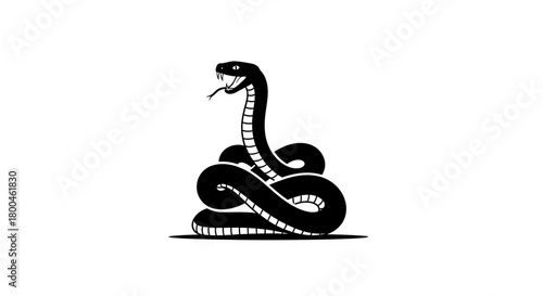 Elegant black silhouette of a tortoise in motion, symbolizing longevity, endurance, and steady progress, subtly accompanied by small flying birds in a clean graphic design