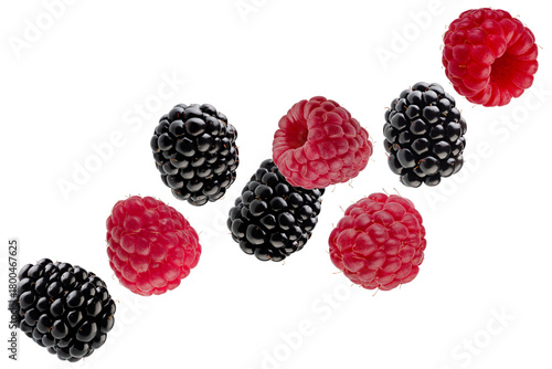 Beautifully retouched blackberries and raspberries fly through space, forming a chain shape. Isolated on white.