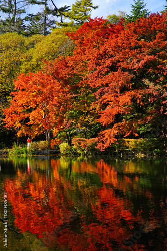 雲場池の紅葉