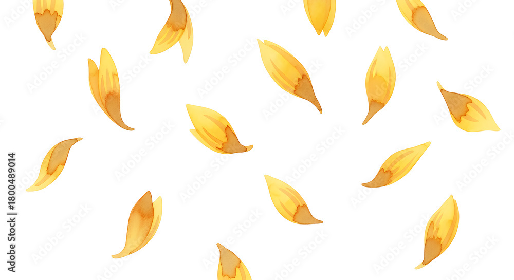 Fototapeta premium Delicate yellow flower petals gently falling and scattering across a pristine white background, capturing the fresh essence of spring and natural beauty, perfect for elegant botanical designs