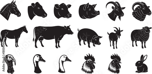 Collection of farm animal silhouettes isolated on white background