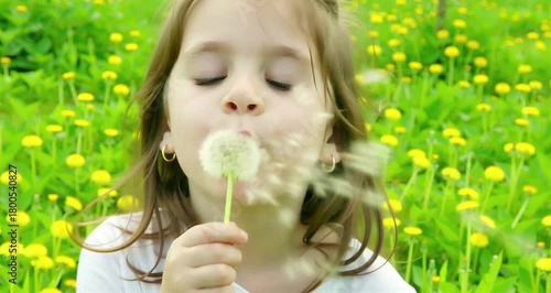 Little girl blowing dandelion close-up