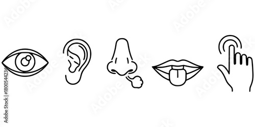 Five human senses editable stroke outline icons set isolated on white background flat vector illustration.
