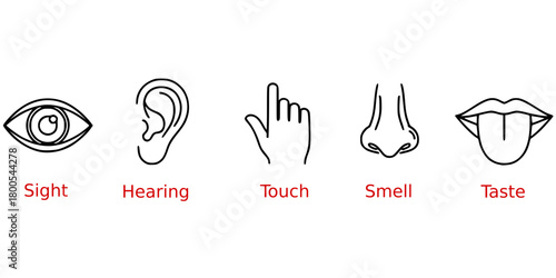Five human senses editable stroke outline icons set isolated on white background flat vector illustration.
