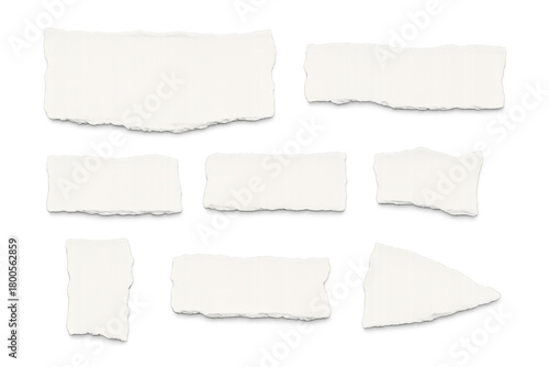 Wallpaper Mural Set of assorted blank ripped paper fragments with ragged edges, offering copy space on a transparent background Torontodigital.ca