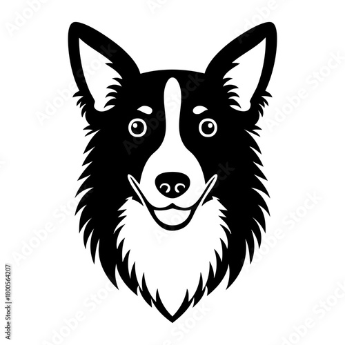 Border Collie or Shepherd Dog Head Portrait Vector Illustration