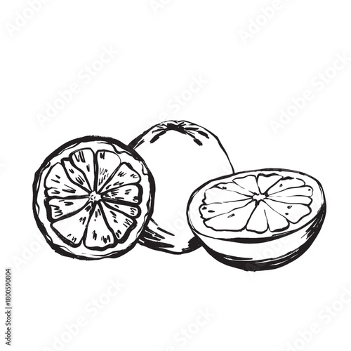 Colorful fruit segments produce energetic citrus fragrance and freshness