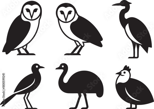Six black and white silhouette icons of different birds including owls herons emu and chicken