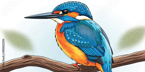 A high-quality illustration of a kingfisher perched on a branch, featuring precise outlines and vibrant gradient colors