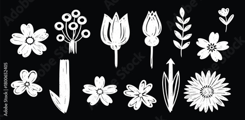 Chalkboard Style Floral Vector Set for Creative Designs