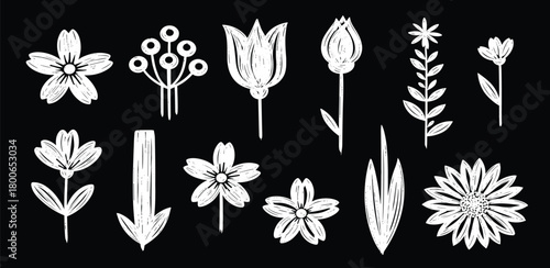 Creative set of white sketchy floral illustrations featuring hand-drawn doodle flowers, leaves, and botanicals with a chalk-like texture
