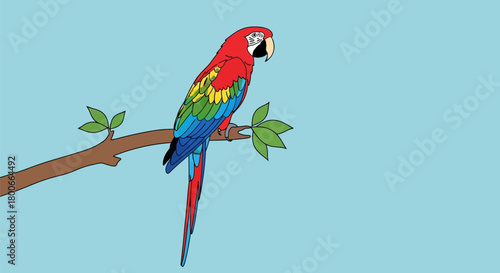 Illustration of a vibrant scarlet macaw perched gracefully on a branch with leaves against blue