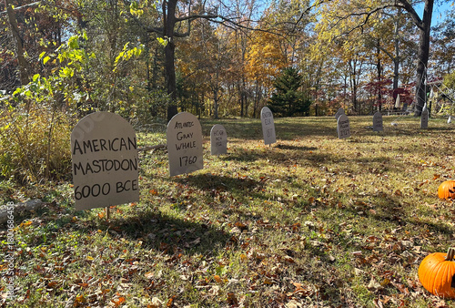 Headstones indicating the demise of extinct species in a fall landscape. 