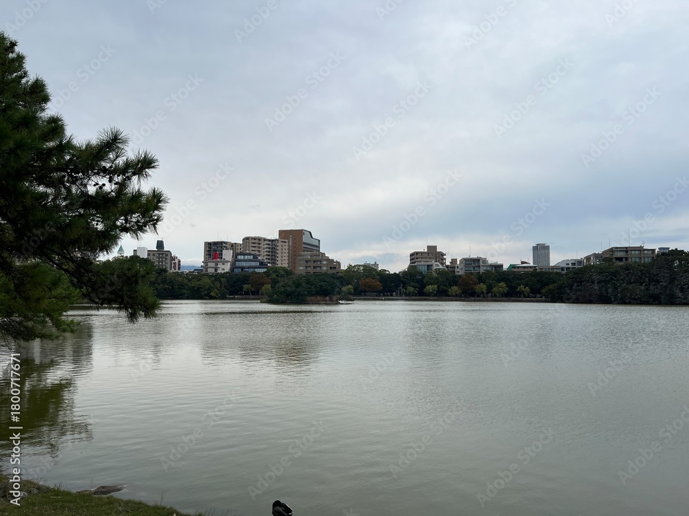 Fototapeta premium 大濠公園の池