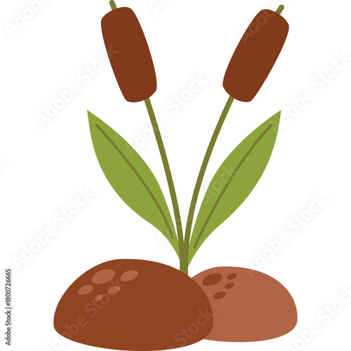 Brown Cattails With Green Leaves Growing Out Of Muddy Ground With A Transparent Background In A Simple Flat Illustration Style