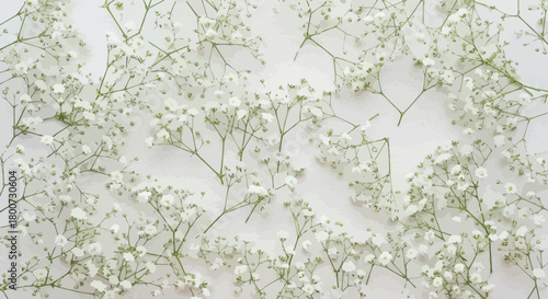 Delicate white baby's breath flowers scattered across a plain background, creating a light and airy floral pattern