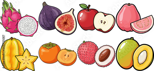 Exotic and Common Fresh Fruits Collection Vector Illustration