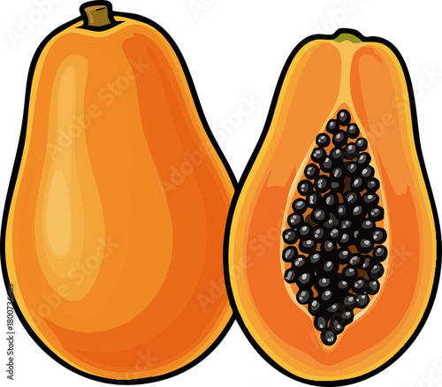 Whole and halved papaya fruit illustration