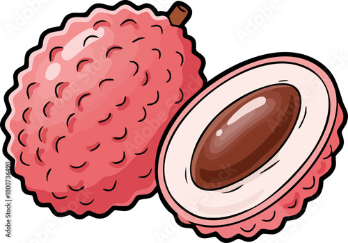 Fresh lychee fruit illustration and cut half with seed