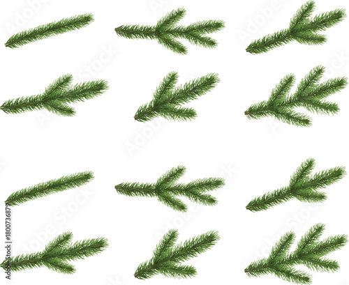 Green leaves and branches of trees and plants in a natural forest setting with seasonal and holiday elements