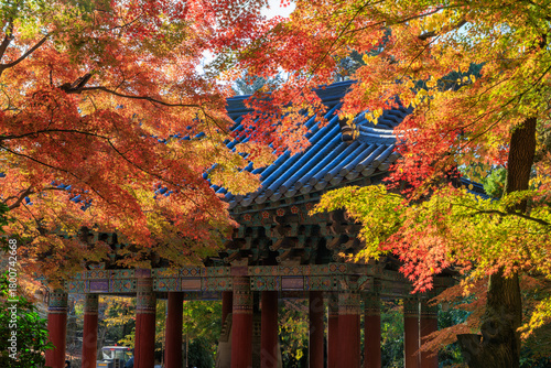 Autumn scenery of Bulguksa Temple in Gyeongju, Korea, with its beautiful red maple trees.