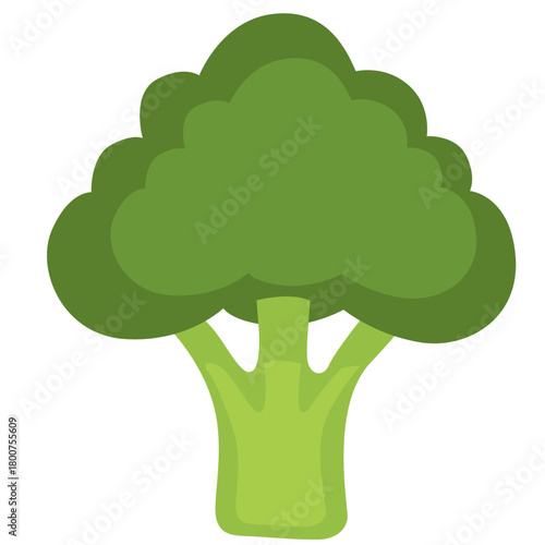 A fresh broccoli illustration in minimalist flat style, representing healthy vegetables, organic gardening, nutritious food ingredients, natural produce, and wholesome cooking elements.