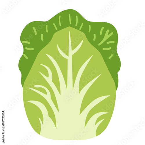 A crisp Chinese cabbage illustrated in clean flat style, representing leafy vegetables, organic produce, natural ingredients, healthy food, and fresh garden harvest elements.