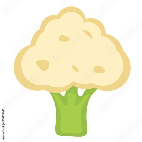A simple flat illustration of a cauliflower head, highlighting natural vegetables, organic gardening, healthy produce, nutritious food ingredients, and fresh cooking components.