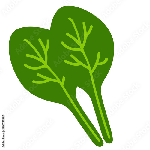 A fresh spinach illustration with simple flat design, representing leafy greens, organic vegetables, natural ingredients, healthy nutrition, garden produce, and plant-based food elements.