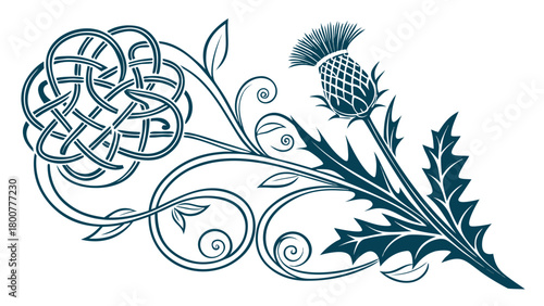 Illustration of a scottish thistle with celtic knot and decorative swirls and leaves design element