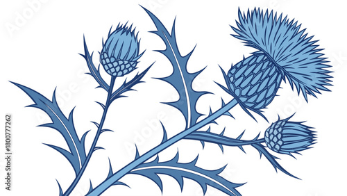 Detailed illustration of three thistle flowers with sharp leaves in shades of blue color scheme