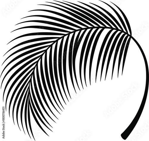 Black palm frond tropical leaf silhouette