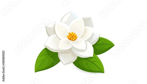 A pristine white blossom with a golden center and vibrant green leaves, showcasing botanical elegance against a white background