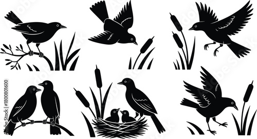 Bird silhouette vector set with branches, nests, chicks, and cattails, black isolated nature scene, wildlife behavior concept, artistic animal illustration pack