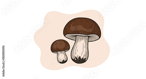 Two brown mushrooms one large and one small on a light brown abstract background.