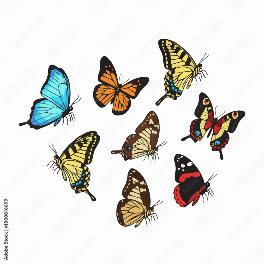 Naklejka premium A pack of different kinds of butterfly