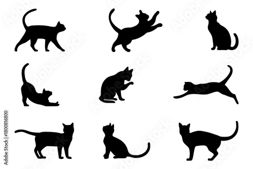 Cats icon set on transparent background. Symbol of cat. Animal silhouette editable vector stock