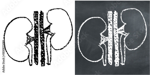 Chalk Handdrawn Kidney Vector Ideal for medical, educational, anatomy, and health projects requiring a hand-drawn chalkboard aesthetic for human organs.