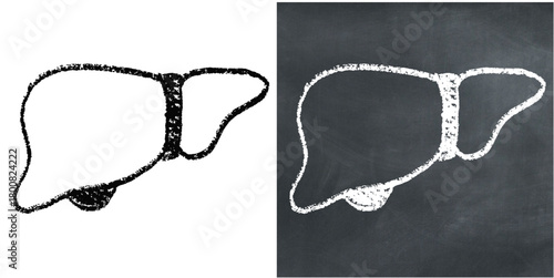 Chalk Handdrawn Liver Vector Ideal for medical, educational, anatomy, and health projects requiring a hand-drawn chalkboard aesthetic for human organs.