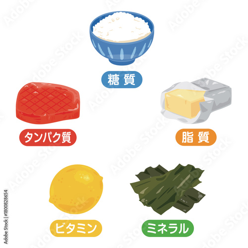 五大栄養素の食品イラストセット　日本語／ Illustration Set of the Five Essential Nutrients - Carbohydrates, Protein, Fat, Vitamins, and Minerals (Japanese Text)