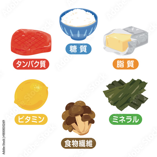 六大栄養素の食品イラストセット　日本語／Illustration Set of Six Essential Nutrients - Carbohydrates, Protein, Fat, Vitamins, Minerals, and Dietary Fiber (Japanese Text)