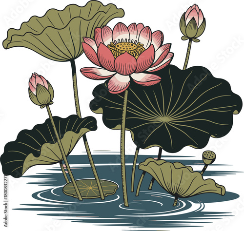 Detailed Hand Drawn Vector Illustration of Lotus Flower and Lily Pads on Water.