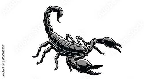 An illustrative drawing of a dark scorpion in a menacing pose on a white background.